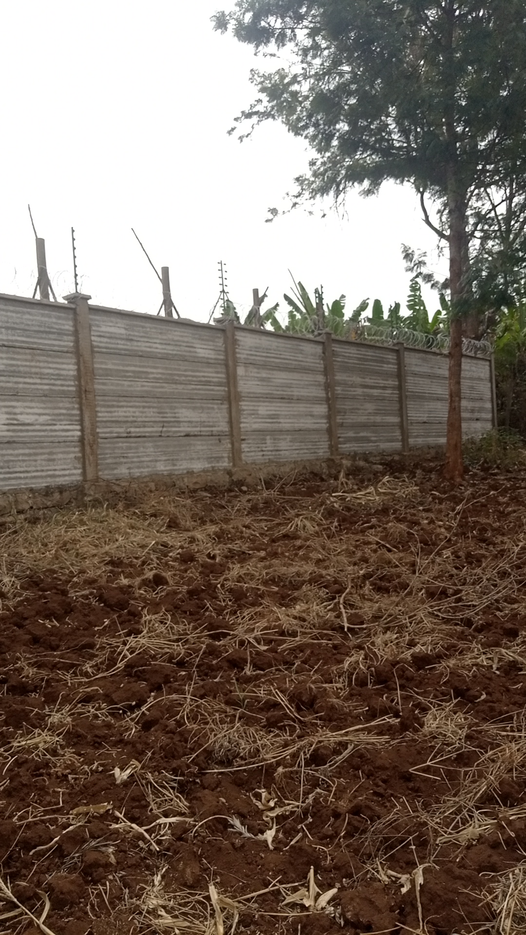 1¼ acre land in Kimorori, Kimorori, Kenya - Photo 5
