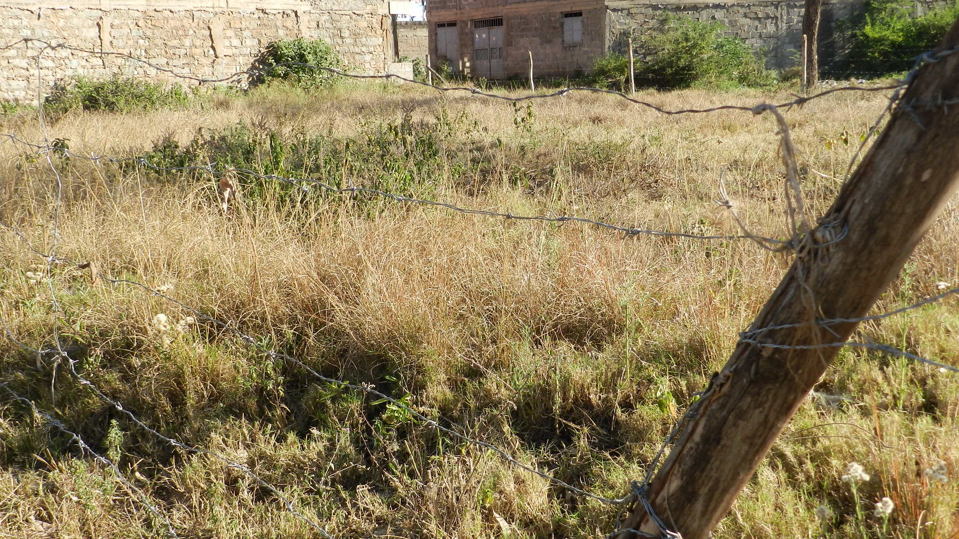 75X100 plot of land